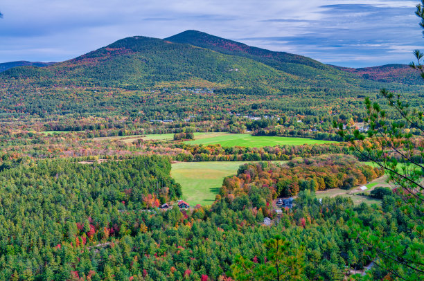 vt