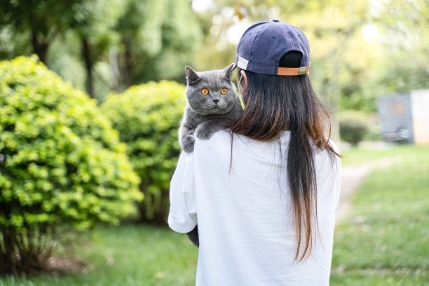 可爱猫咪小女孩