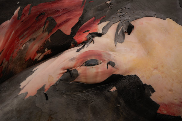 carrion