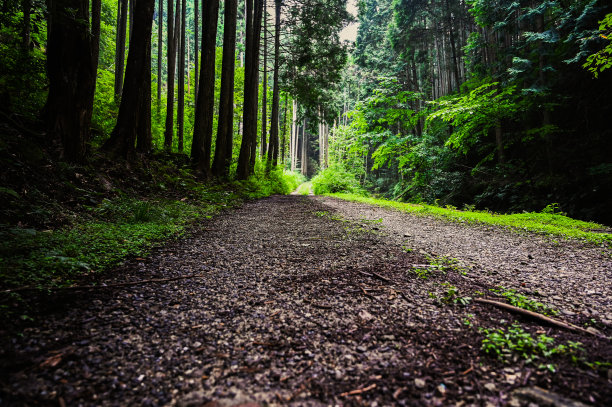 pathway