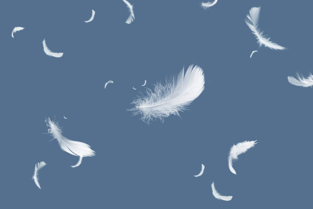 plumage