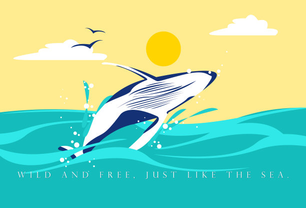 座头鲸,鲸,鱼跃