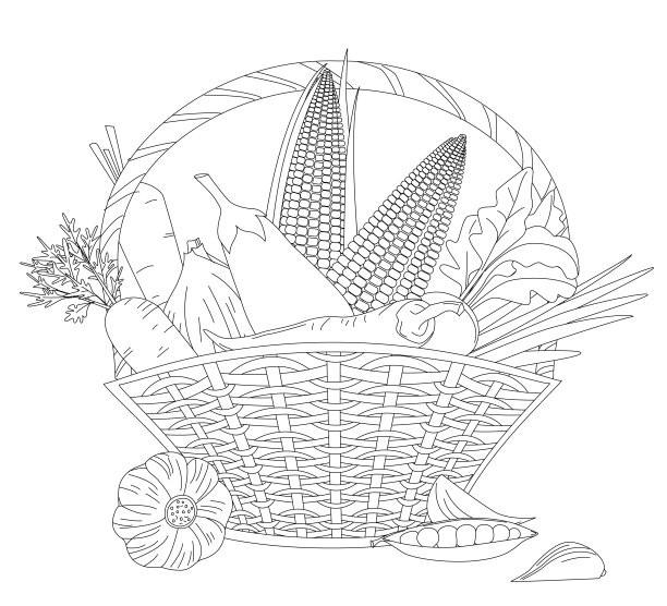 radishes