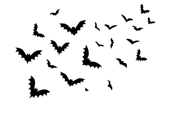bat