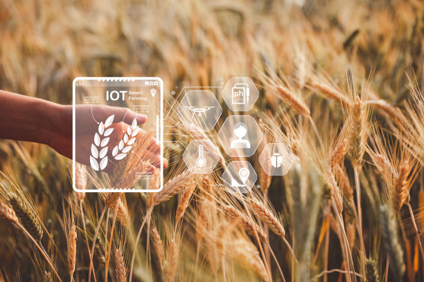 iot