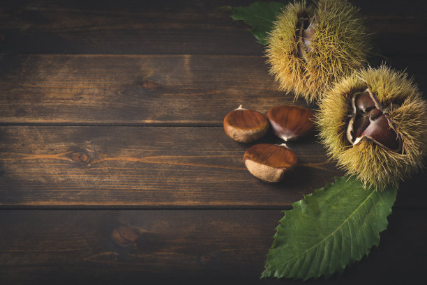 chestnut