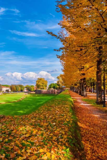 lucca
