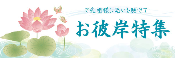 睡莲,花蕾,水彩画颜料