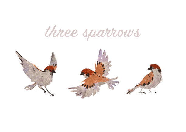 sparrow