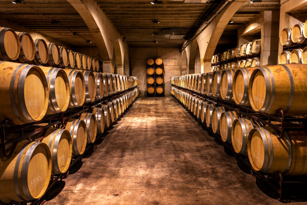 vineyard