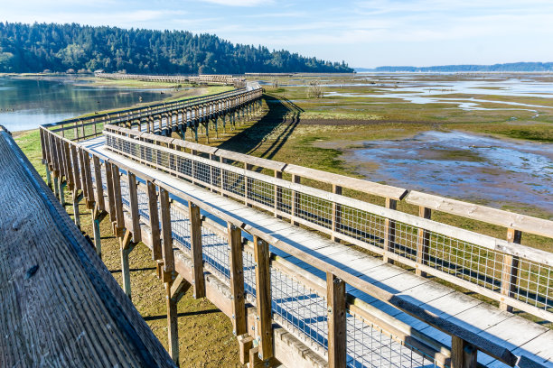 boardwalk