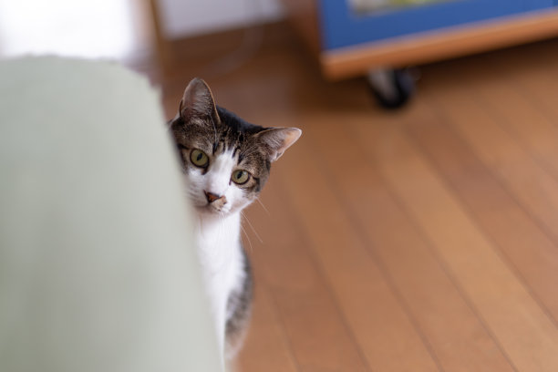 peek