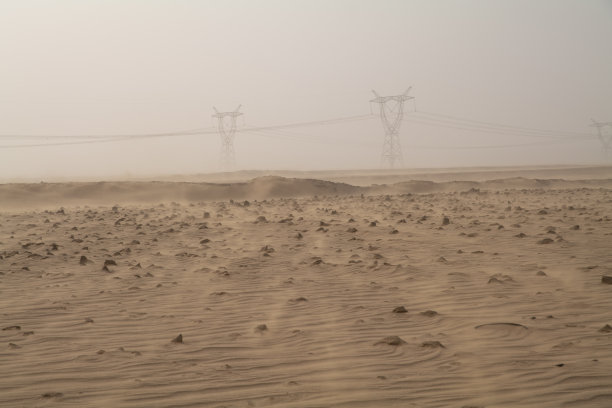 全国生态日背景