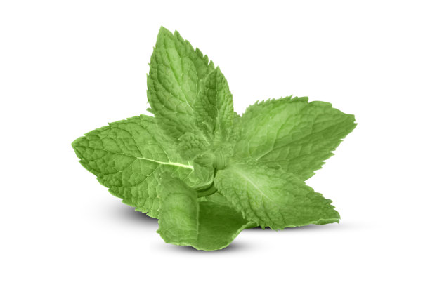 spearmint
