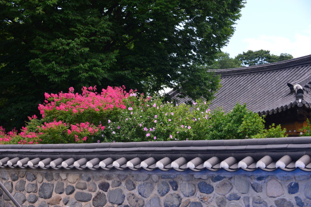 韩国最精美寺院