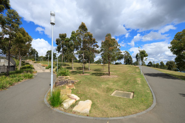 户外蓝天白云草地树林图片
