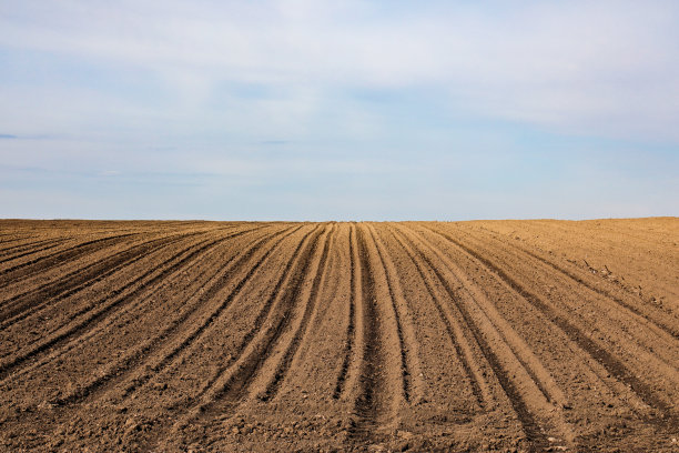 ground