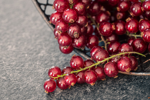 redcurrant