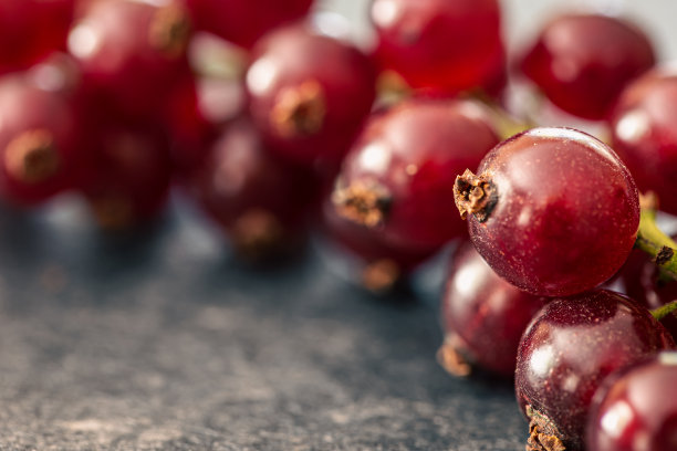 redcurrant