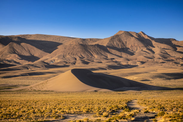 dune
