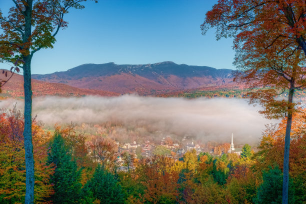 vt