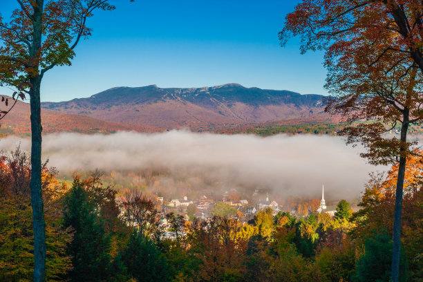 vt