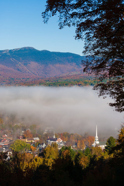 vt