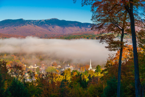 vt