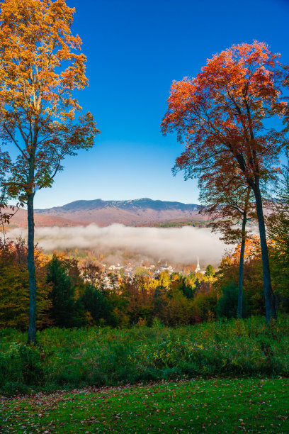 vt