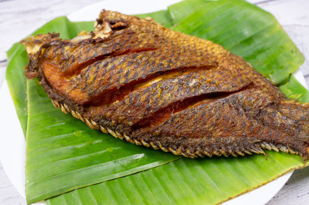 tilapia