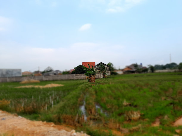 云,草地,草