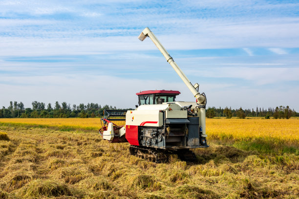 harvest