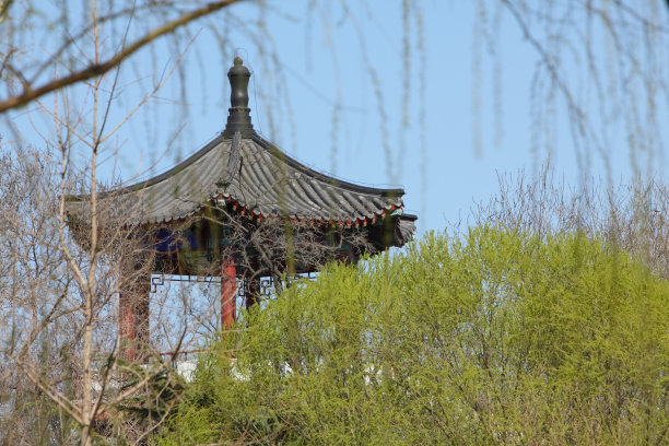 少林寺山门