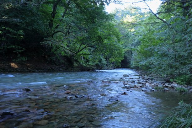 郊野温泉