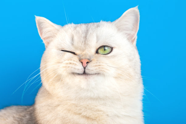 wink