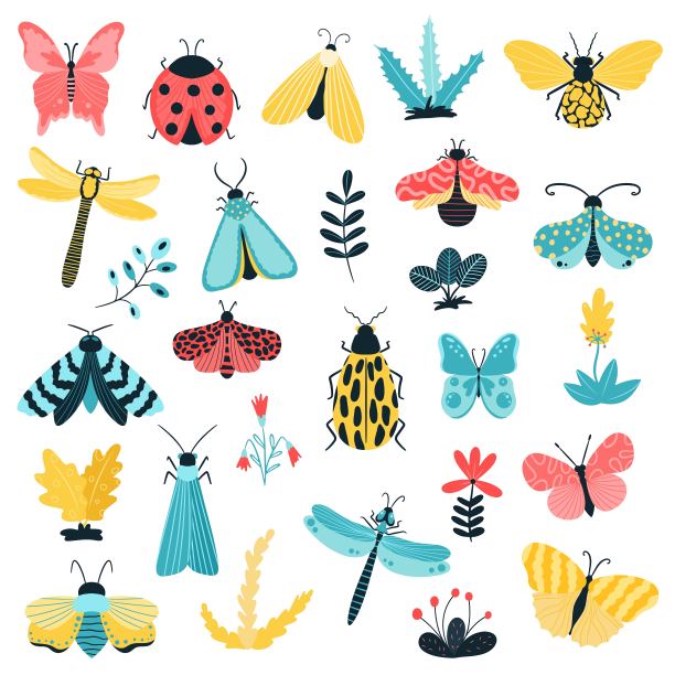 entomology