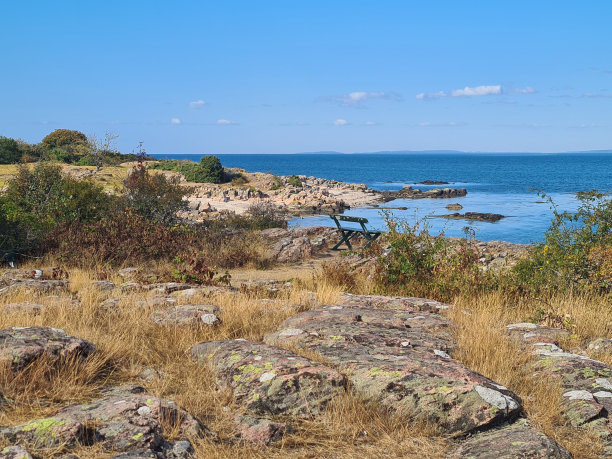 户外蓝天白云草地树林图片