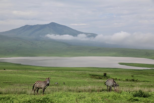 ngorongoro