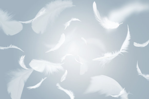 plumage