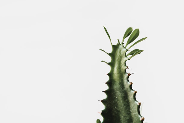 spiked