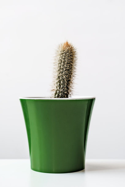 spiked