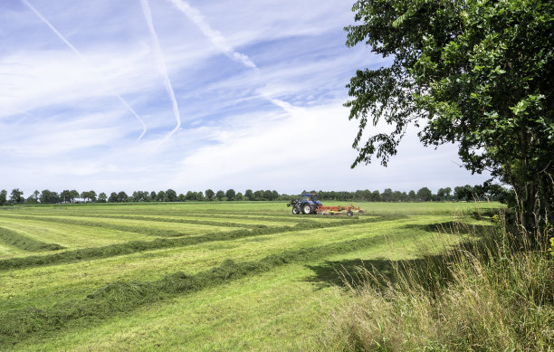 drenthe