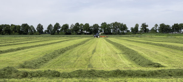 drenthe