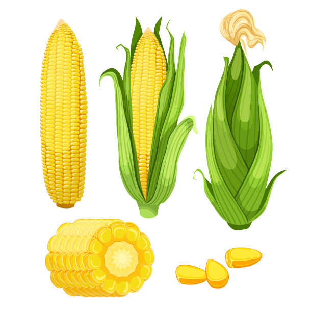 cob