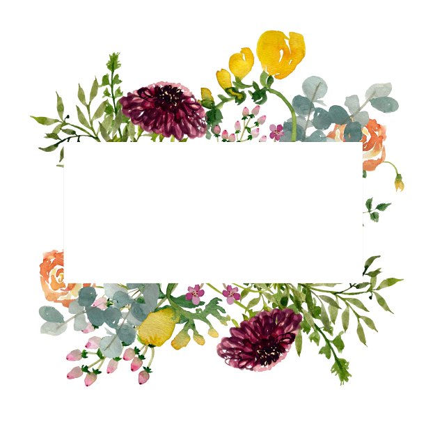 请柬,鲜花盛开,叶子