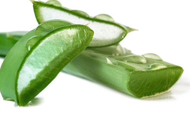 aloe