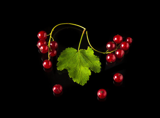 redcurrant
