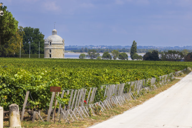 bordeaux
