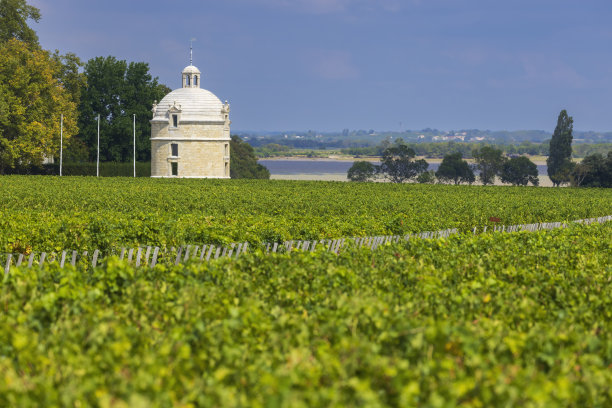 bordeaux