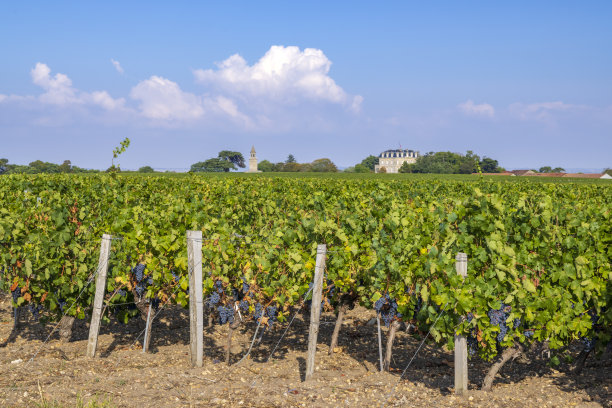 bordeaux